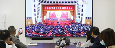 同心向党庆盛会，踔厉奋发